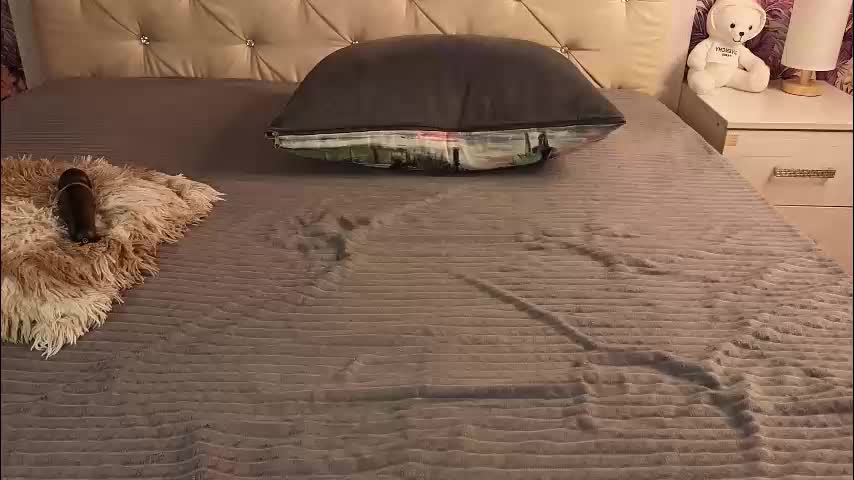 freyabyrne Adult Chat January 25, 2026