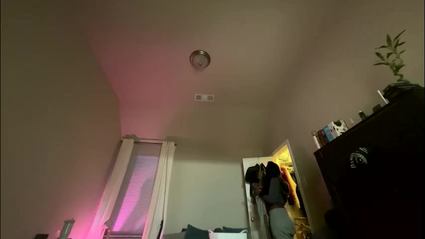 wynterheat Adult Chat January 25, 2026