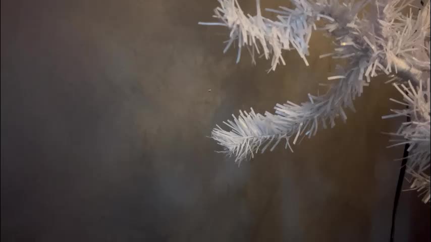 dunny_sexysusie69 Adult Chat January 25, 2026