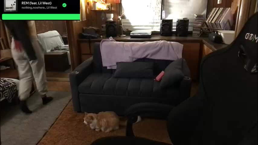 incognitoqueen Adult Chat January 25, 2026