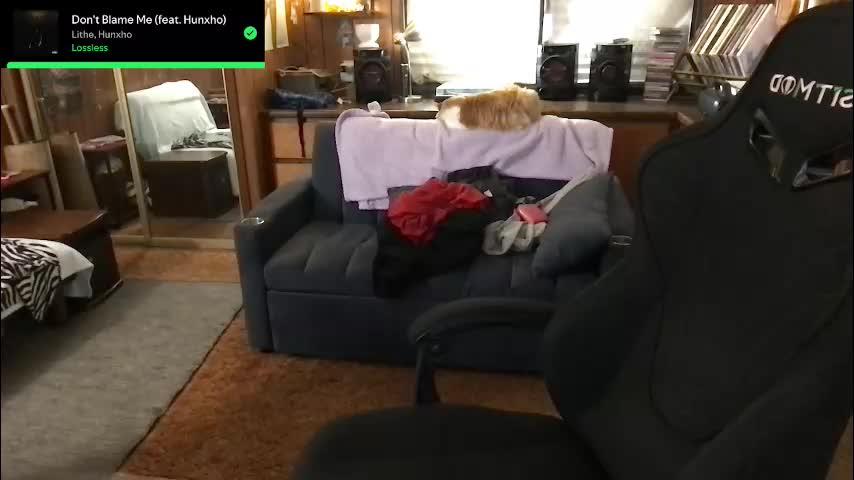 incognitoqueen Adult Chat January 25, 2026