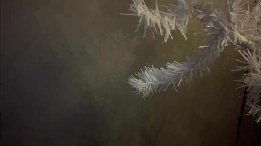 dunny_sexysusie69 Adult Chat January 25, 2026