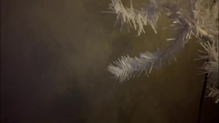 dunny_sexysusie69 Adult Chat January 25, 2026