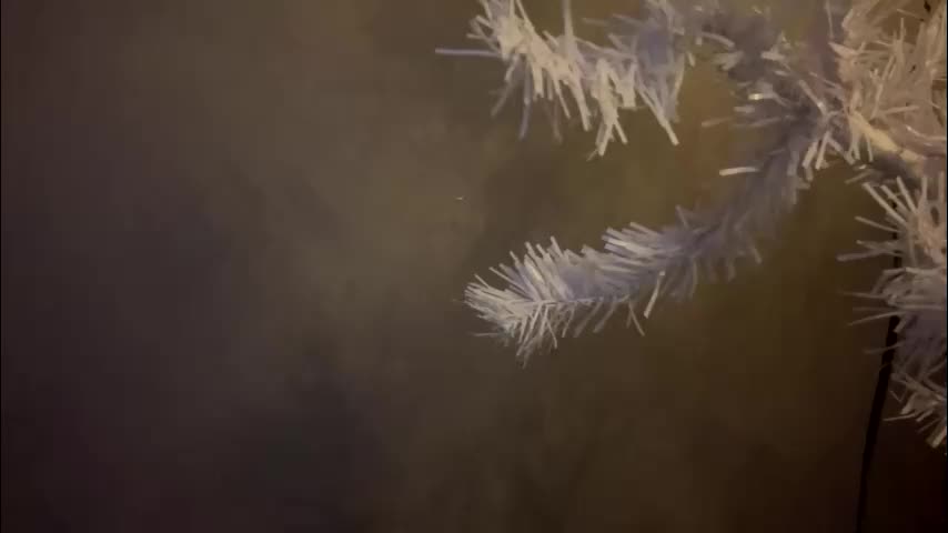 dunny_sexysusie69 Adult Chat January 25, 2026