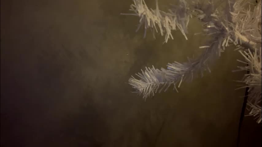 dunny_sexysusie69 Adult Chat January 25, 2026