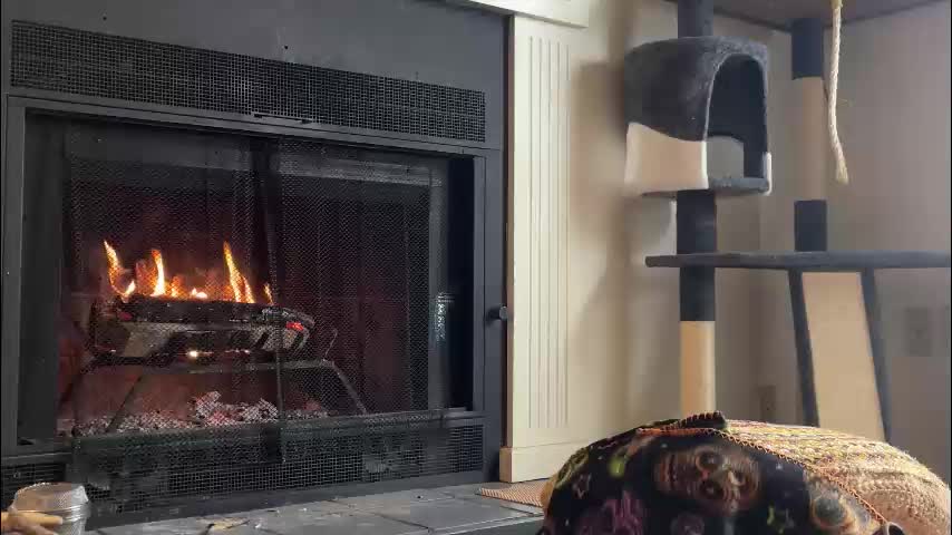 sweet_truffle Adult Chat January 26, 2026