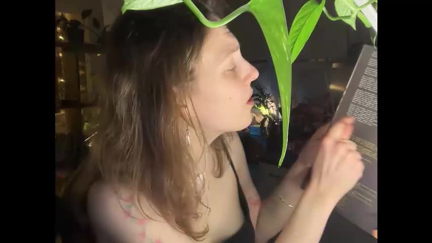 holydori Adult Chat January 26, 2026