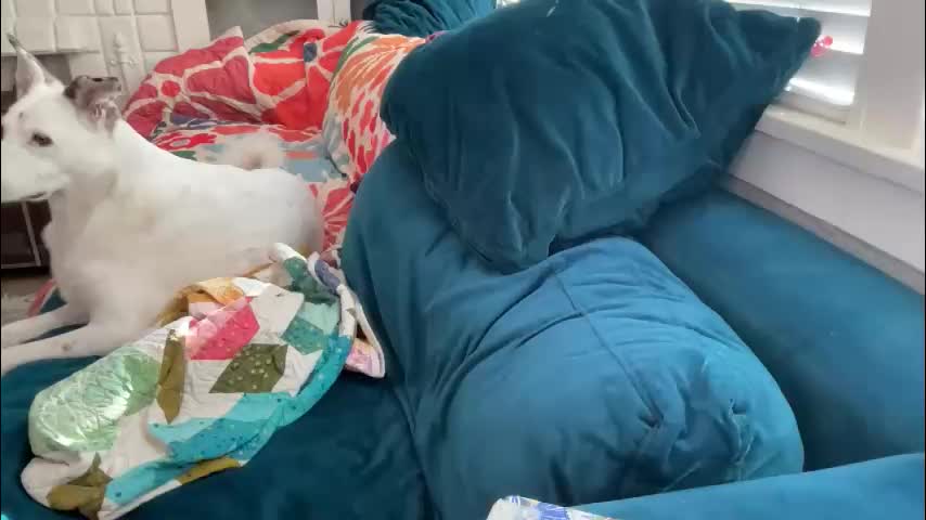 dreamyriri Adult Chat January 26, 2026