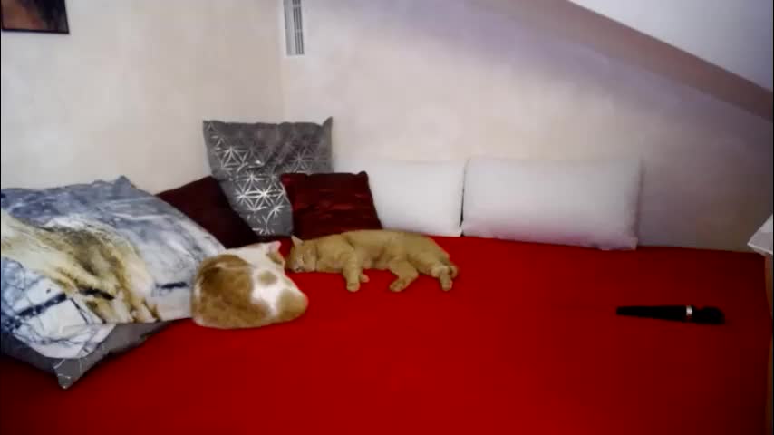 kathylovexxx Adult Chat January 26, 2026