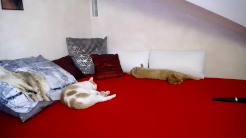 kathylovexxx Adult Chat January 26, 2026