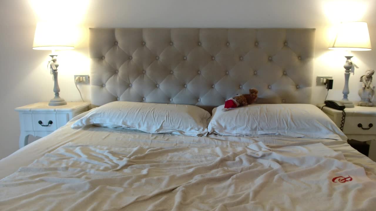 Sweet_Perry Adult Chat January 26, 2026