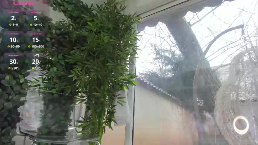 lexi_storm Adult Chat January 26, 2026