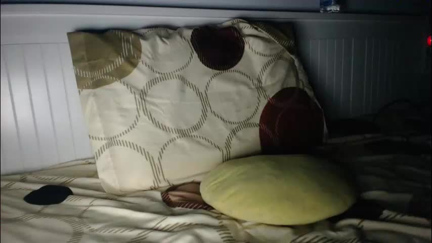 jessiexryan Adult Chat January 26, 2026