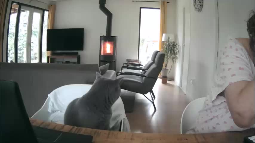 woodwurm Adult Chat January 26, 2026