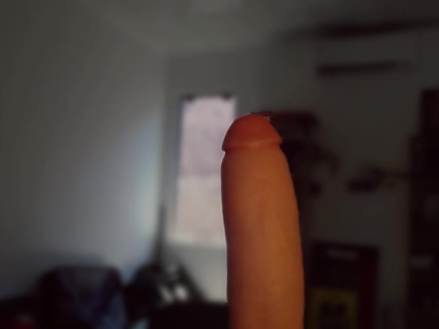 Alisa_U Adult Chat January 26, 2026