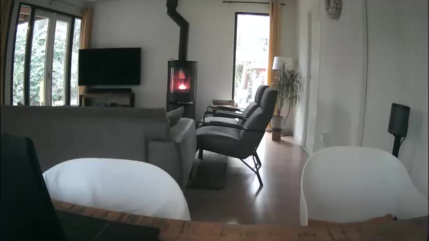 woodwurm Adult Chat January 26, 2026