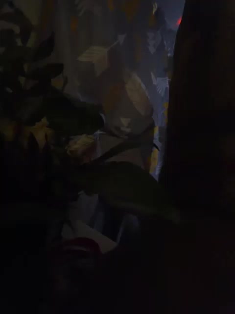 Skitovteam Adult Chat January 27, 2026