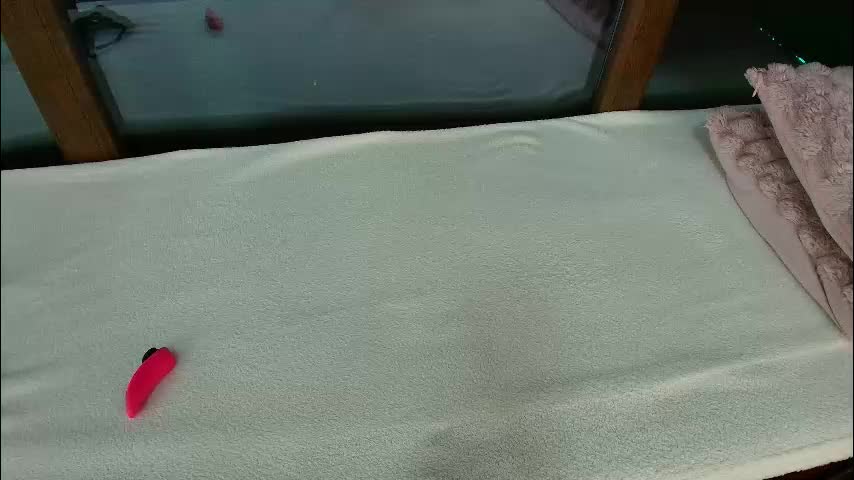 _parishill Adult Chat January 27, 2026