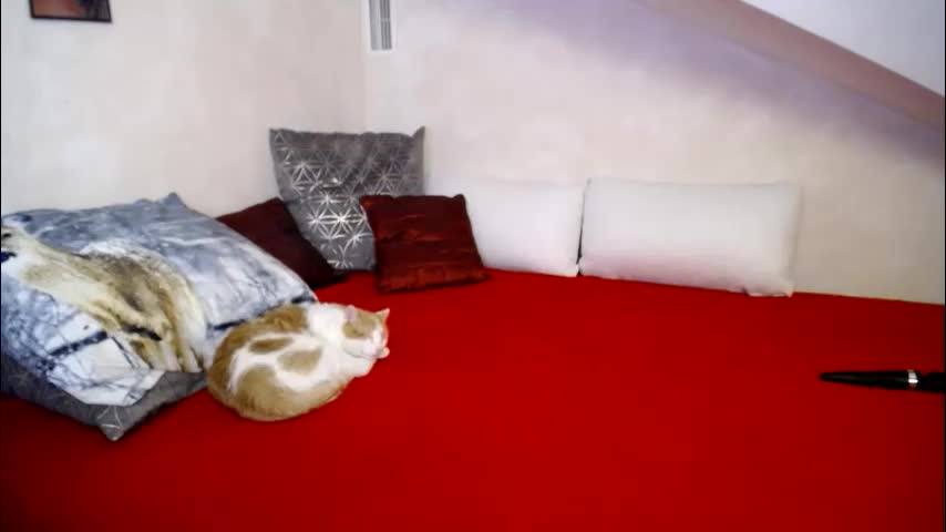 kathylovexxx Adult Chat January 27, 2026