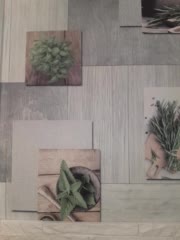 Anesteishen Adult Chat January 27, 2026