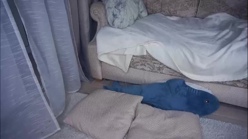 meghanantell Adult Chat January 27, 2026