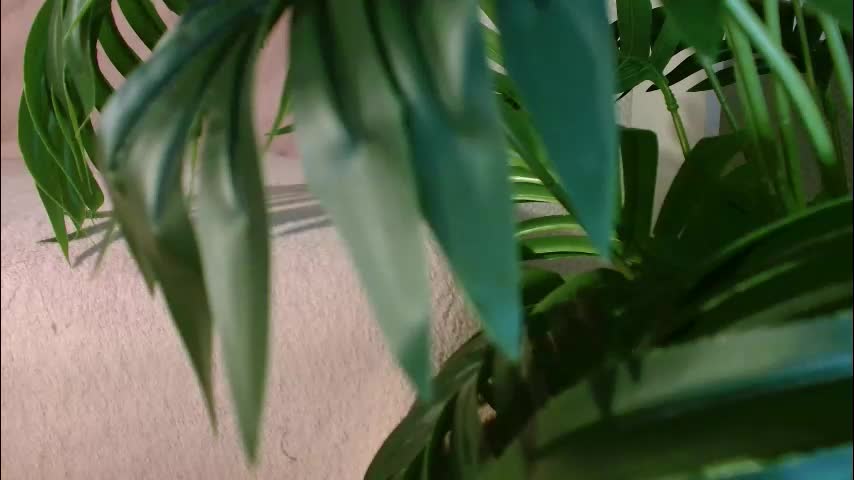 imcarrieberry Adult Chat January 28, 2026