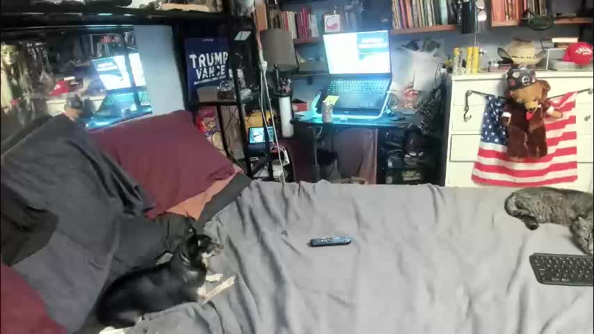 pink_black Adult Chat January 27, 2026