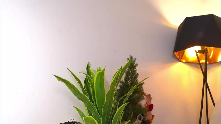 katymolly Adult Chat January 28, 2026