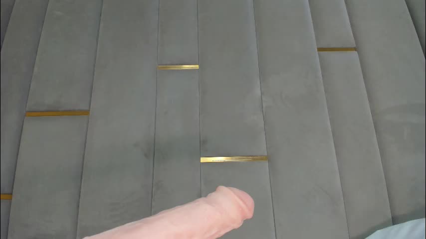 evalims Adult Chat January 28, 2026