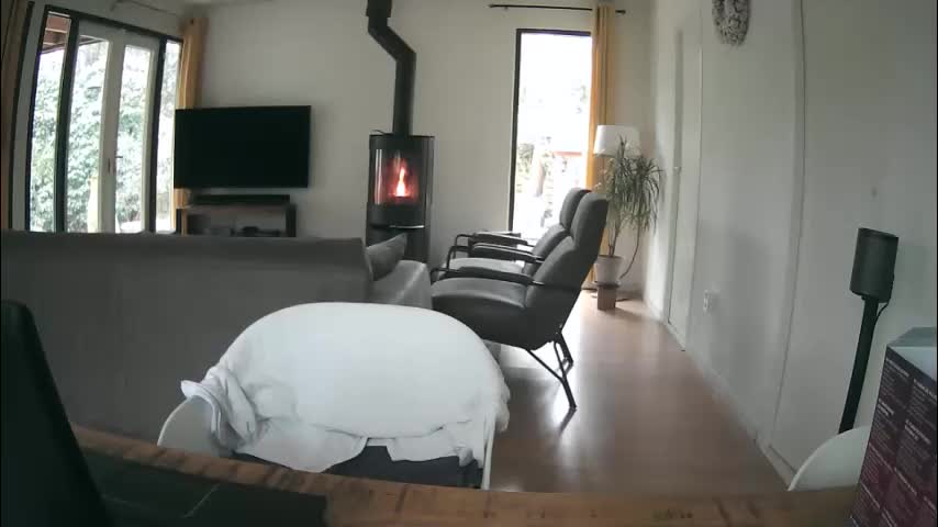 woodwurm Adult Chat January 28, 2026