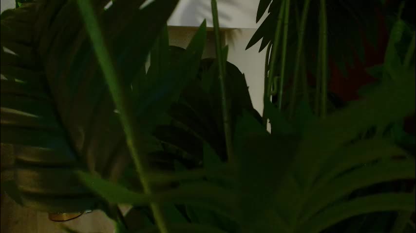 imcarrieberry Adult Chat January 28, 2026