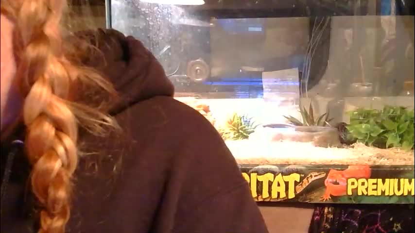 x2kayx2 Adult Chat January 28, 2026