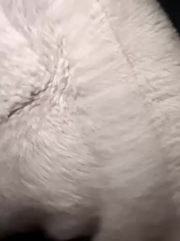 NEW_SWEET Adult Chat January 28, 2026