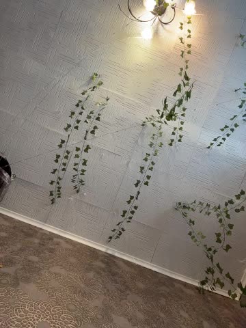 AmmyHot Adult Chat January 28, 2026