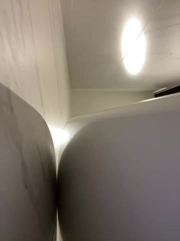 RinaCat Adult Chat January 28, 2026