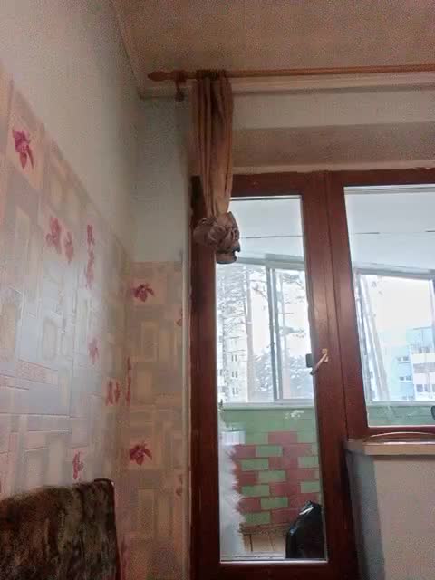 _I_love_you_ Adult Chat January 28, 2026