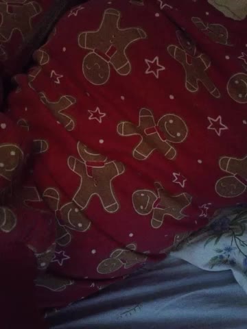 Monika-X Adult Chat January 29, 2026