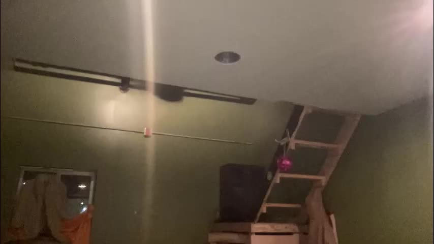 arielwyld Adult Chat January 29, 2026