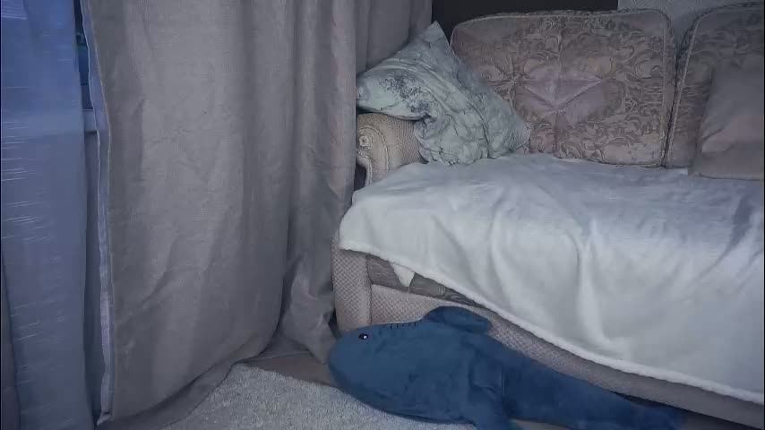 meghanantell Adult Chat January 29, 2026