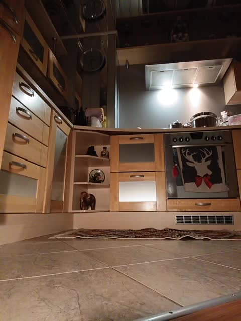 Annanas Adult Chat January 29, 2026