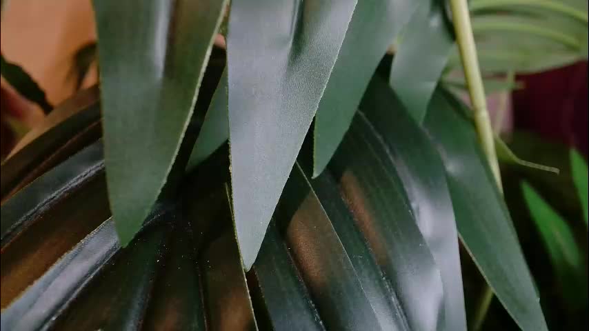 imcarrieberry Adult Chat January 30, 2026