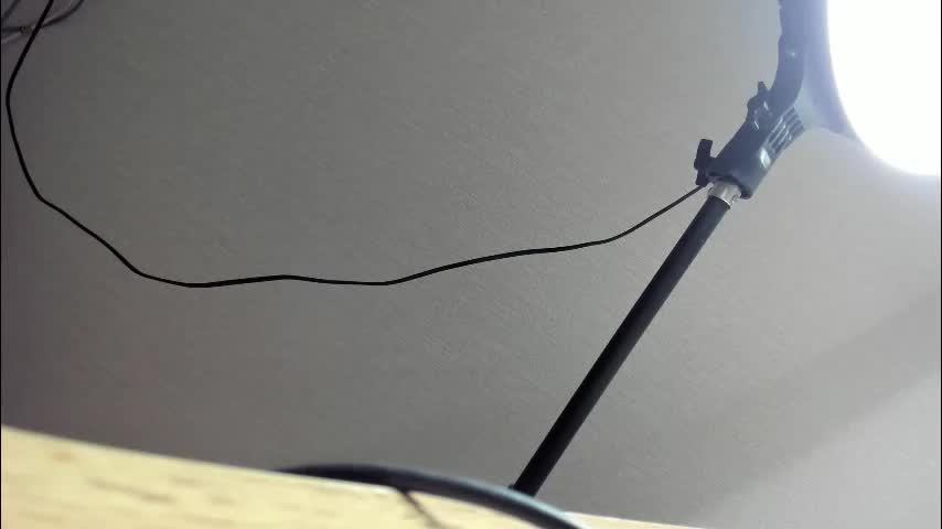 molly_555 Adult Chat January 29, 2026