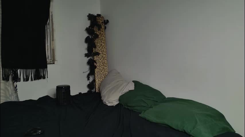 jackdesfeux Adult Chat January 29, 2026