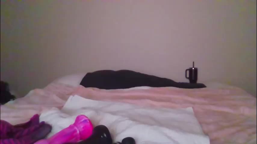 sdbeachfreaks Adult Chat January 29, 2026