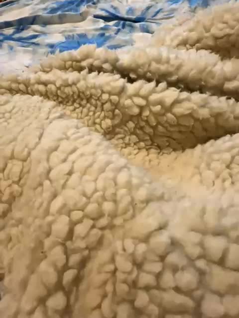 Daisy12321 Adult Chat January 30, 2026