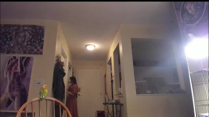 alizezaide Adult Chat January 30, 2026