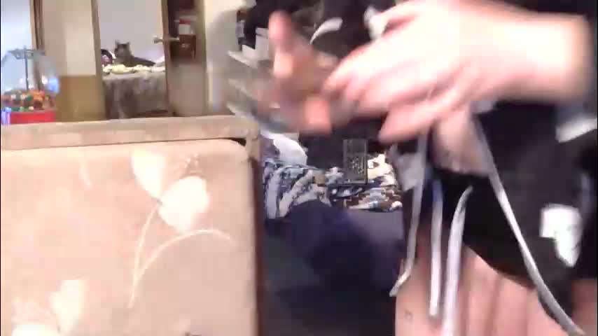 x2kayx2 Adult Chat January 30, 2026