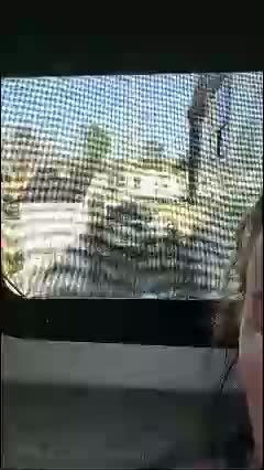 bmorganne420 Adult Chat January 30, 2026