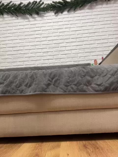 KitFox Adult Chat January 30, 2026