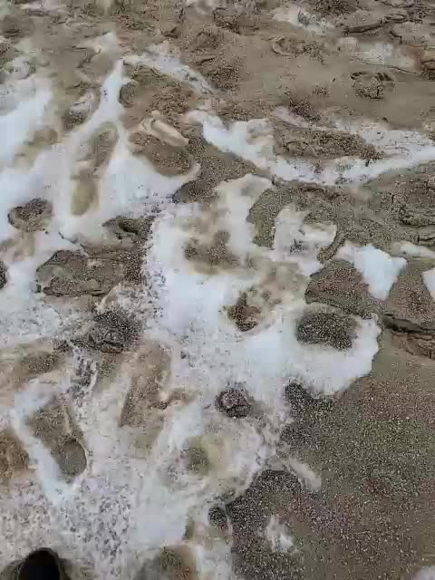 Alex80-201 Adult Chat January 31, 2026